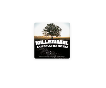 Millennium Mustard Seed S6 205. Dr. Laura Sanger - A.I, Stargates & Portals