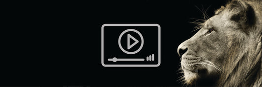 Episode 4 - The Lion's Roar Is Being Released, Get Ready