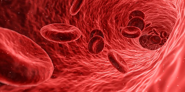 Is Rh-negative Blood Linked to the Nephilim?